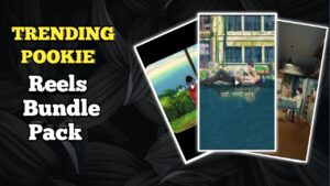 POOKIE VOICE REELS BUNDLE PACK