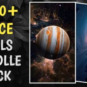 Space Reels Bundlle 📈