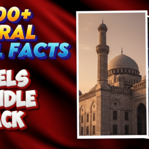 1000+ Viral Facts Reels Bundle | Ready-Made Faceless Content
