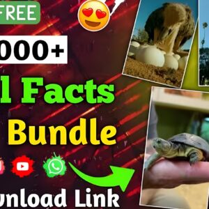 VIRAL FACTS REELS BUNDLE