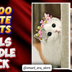 3000+ Real Cute Cat Reels Bundle – Adorable & Viral Cat Clips (₹29 Only)